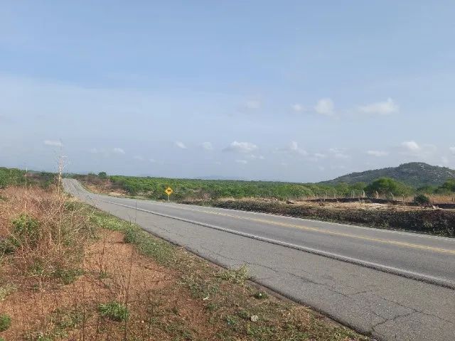 Área com aprox. 5 hectares toda beira de pista - Foto 2