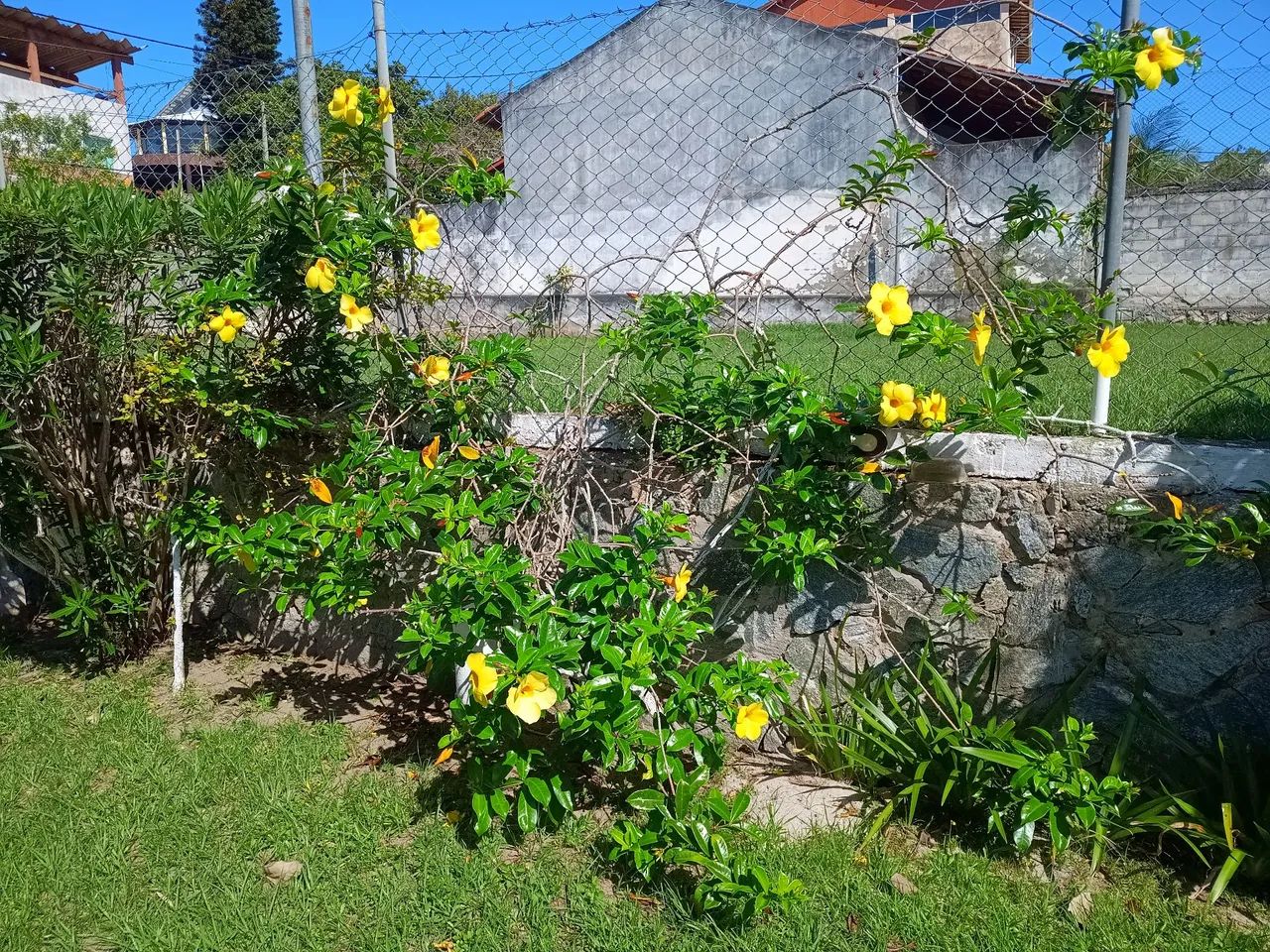 Casa Temporada, 4 Quartos, Piscina, Churrasqueira e Campo de Futebol - São Pedro da Aldeia - Foto 3