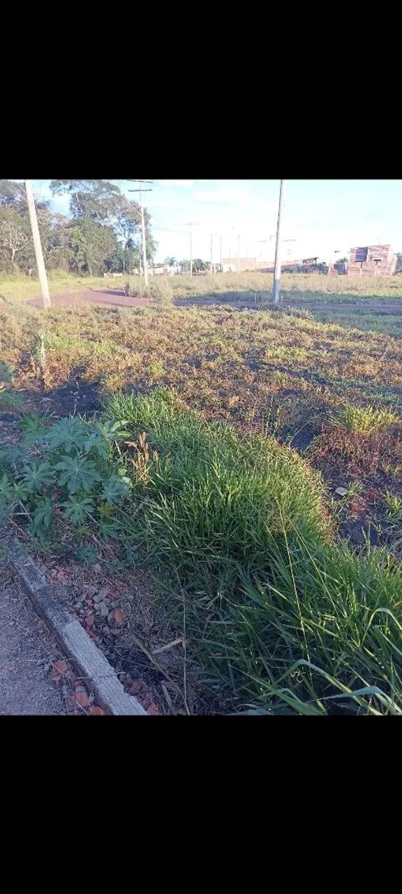 Ágio de Lote!  - Foto 2