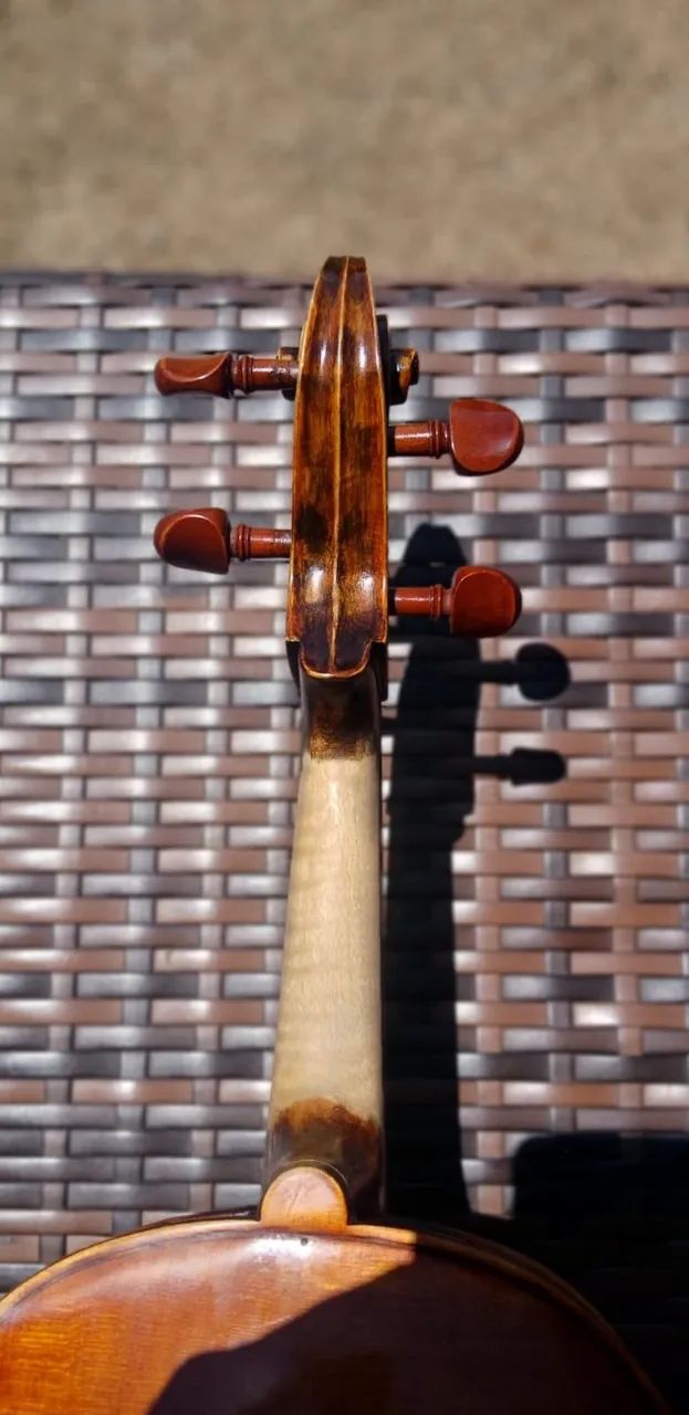 Viola Clássica (de Arco) - Foto 6