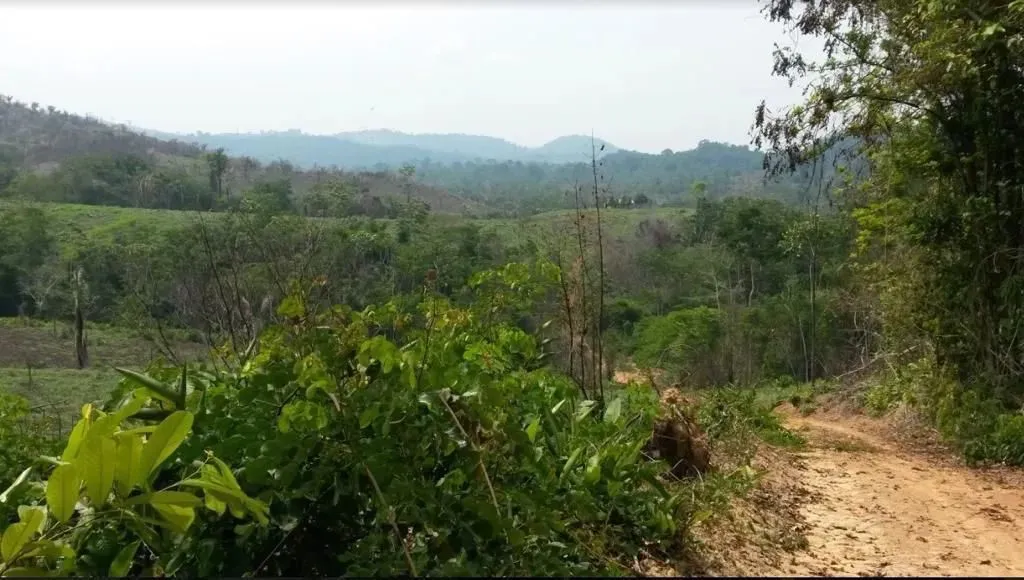 Fazenda em Itaituba - PARÁ PA
