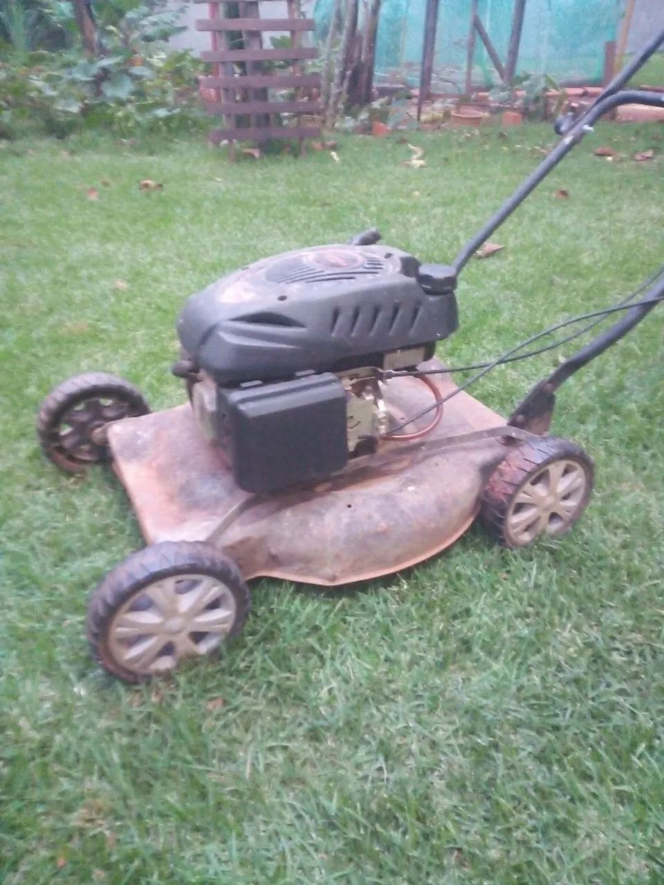 Cortador de grama,gasolina 