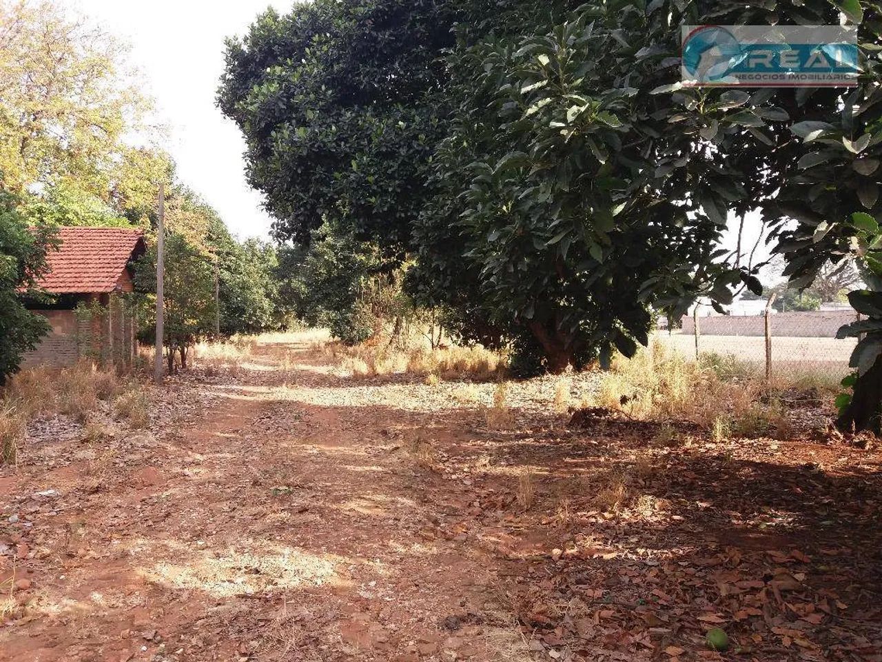 Chácara residencial à venda, Matão, Sumaré. - Foto 2