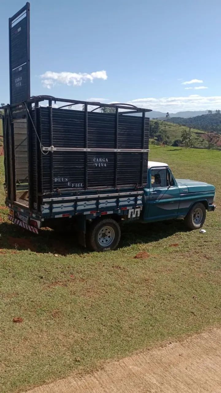 F100 conservada ponto pra trabalhar 