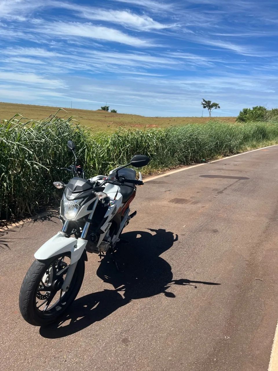 CB Twister 250f - Foto 4