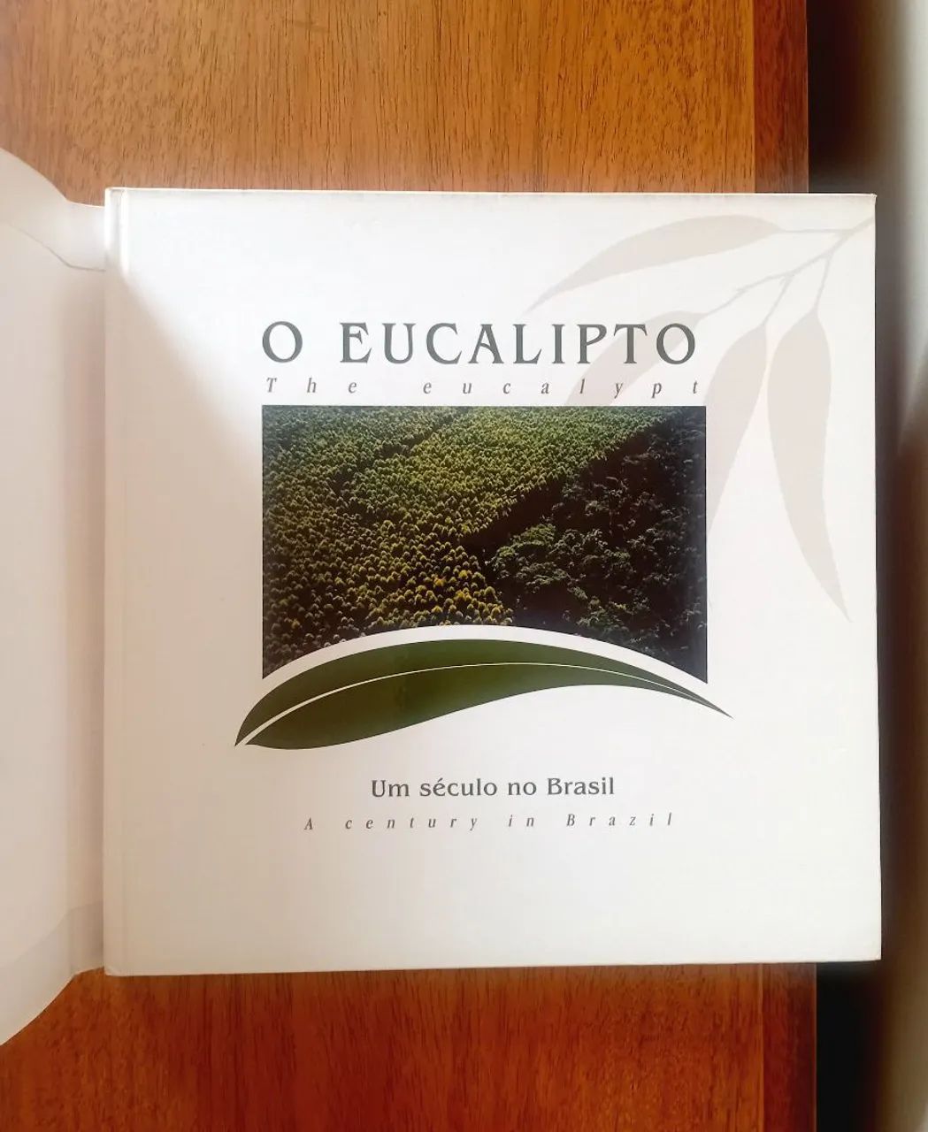 Livro O Eucalipto Um século no Brasil - Foto 2