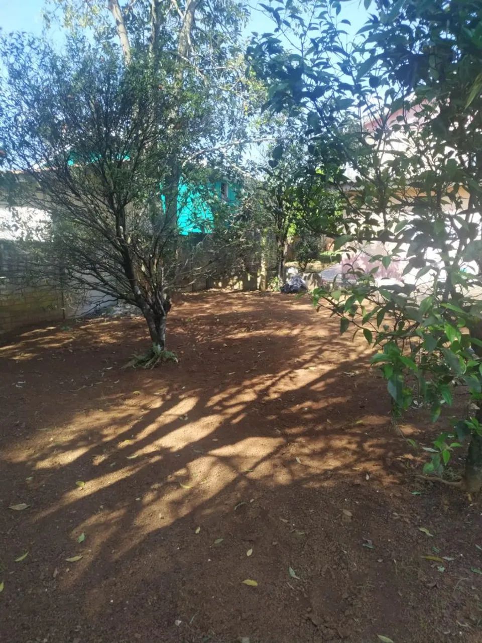 Casa mista com árvores frutíferas  - Foto 4