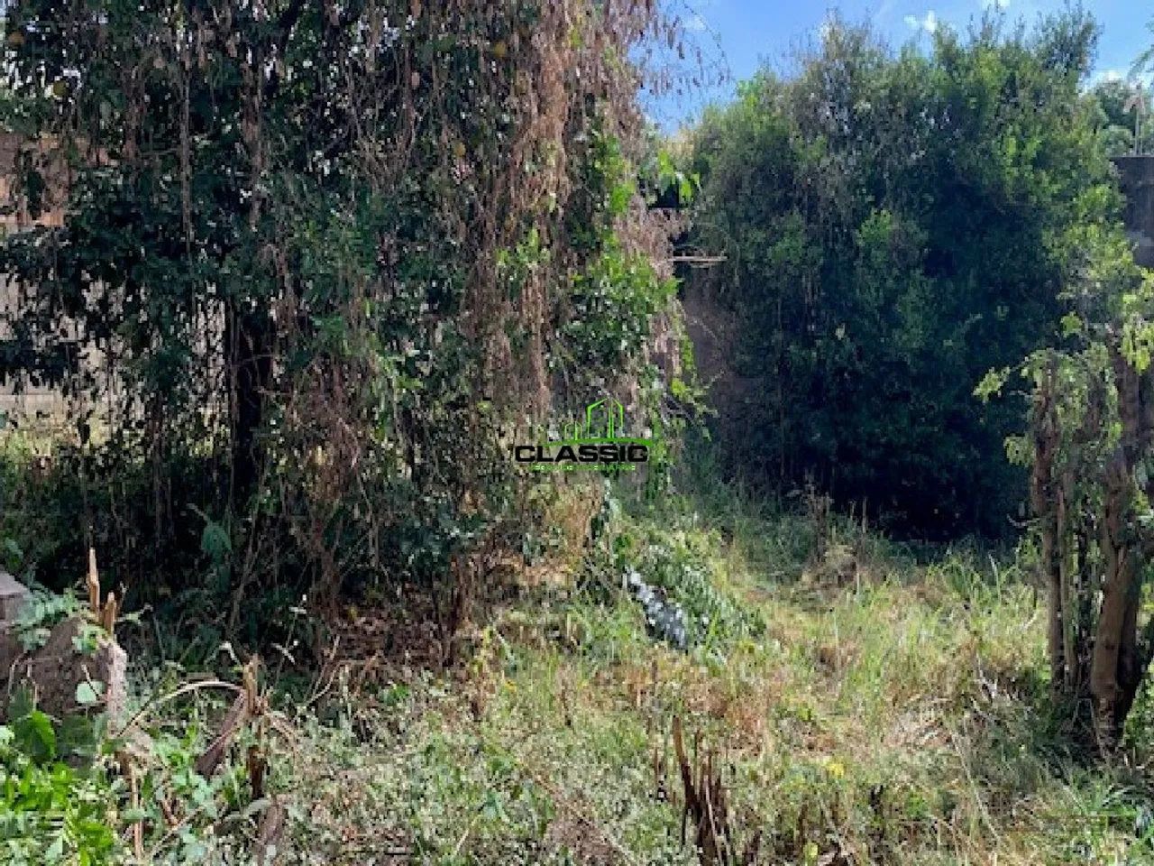 Lote 360 m ², alvenaria - Foto 2