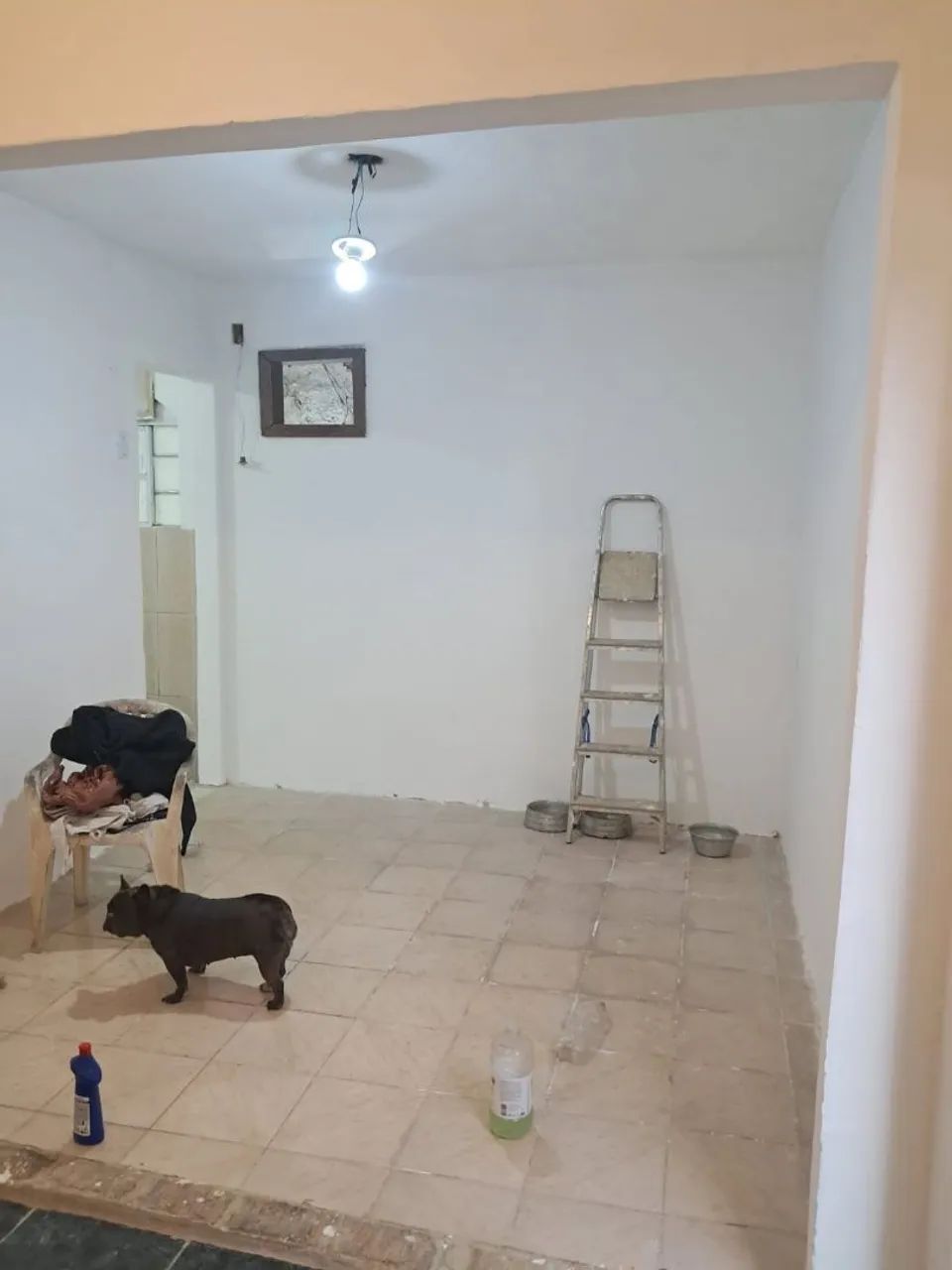 Alugo - Foto 3