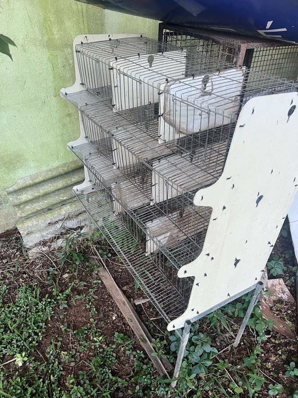 Gaiola para codorna  - Foto 2