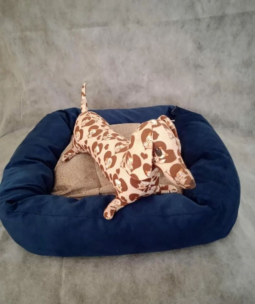 Caminha Pet ?