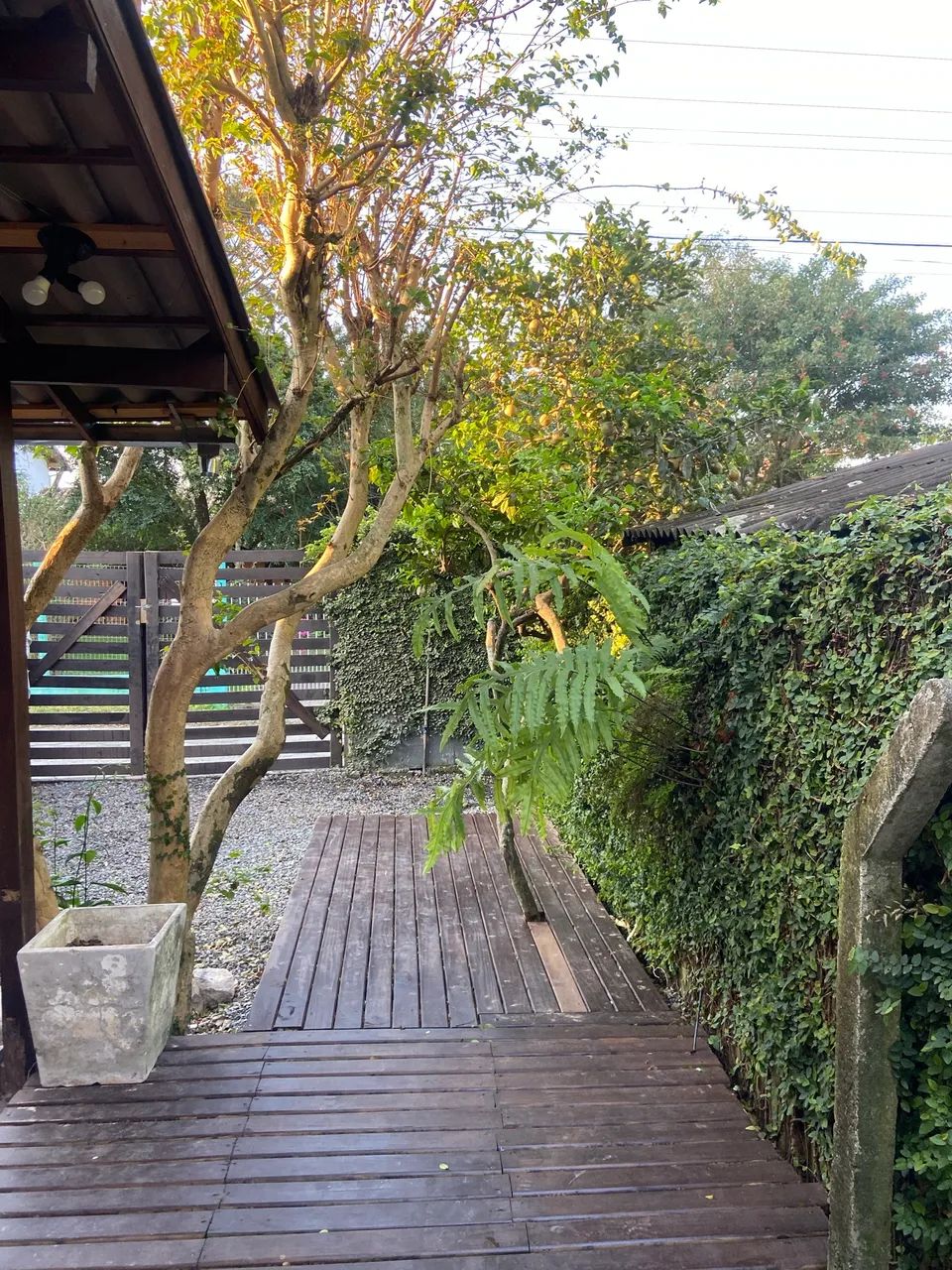 Casa para alugar no Rio Tavares, rua tranquila, trilha ecológica para praia de 10min - Foto 2