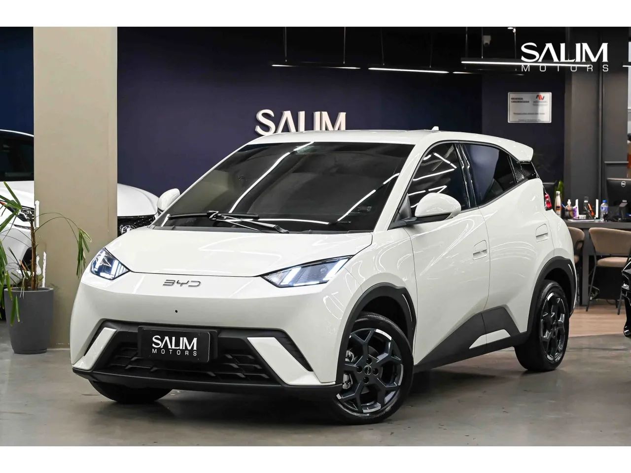 BYD Dolphin Mini (Elétrico) 2027 - Foto 3