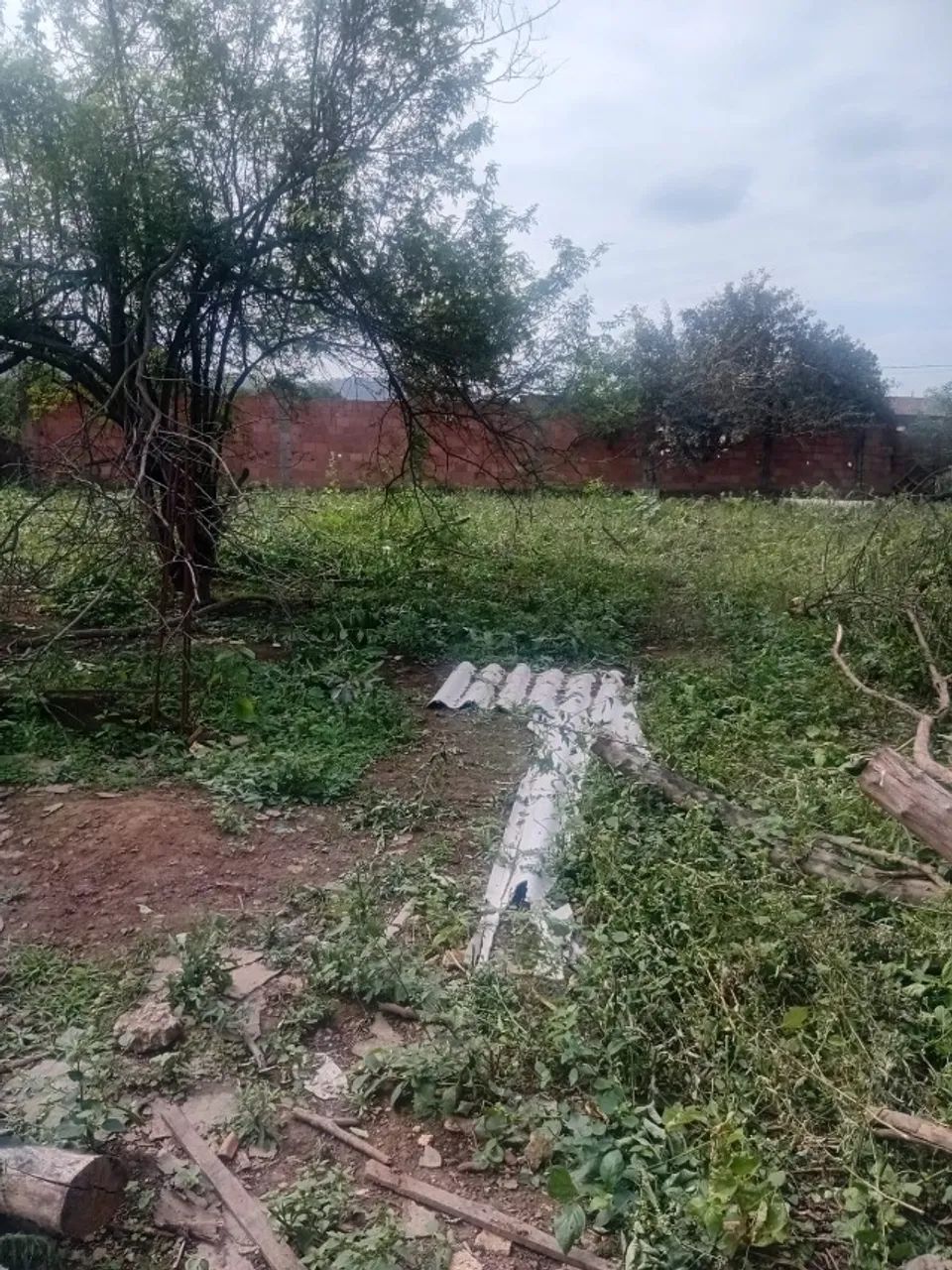 Terreno com área de 750 metros todo murado - Foto 3