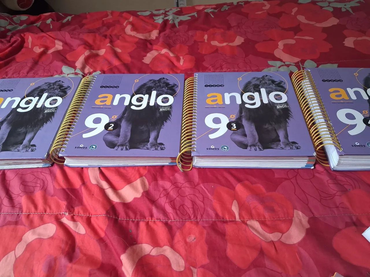 Apostila Anglo 1,2,3 ensino Fundamental 2