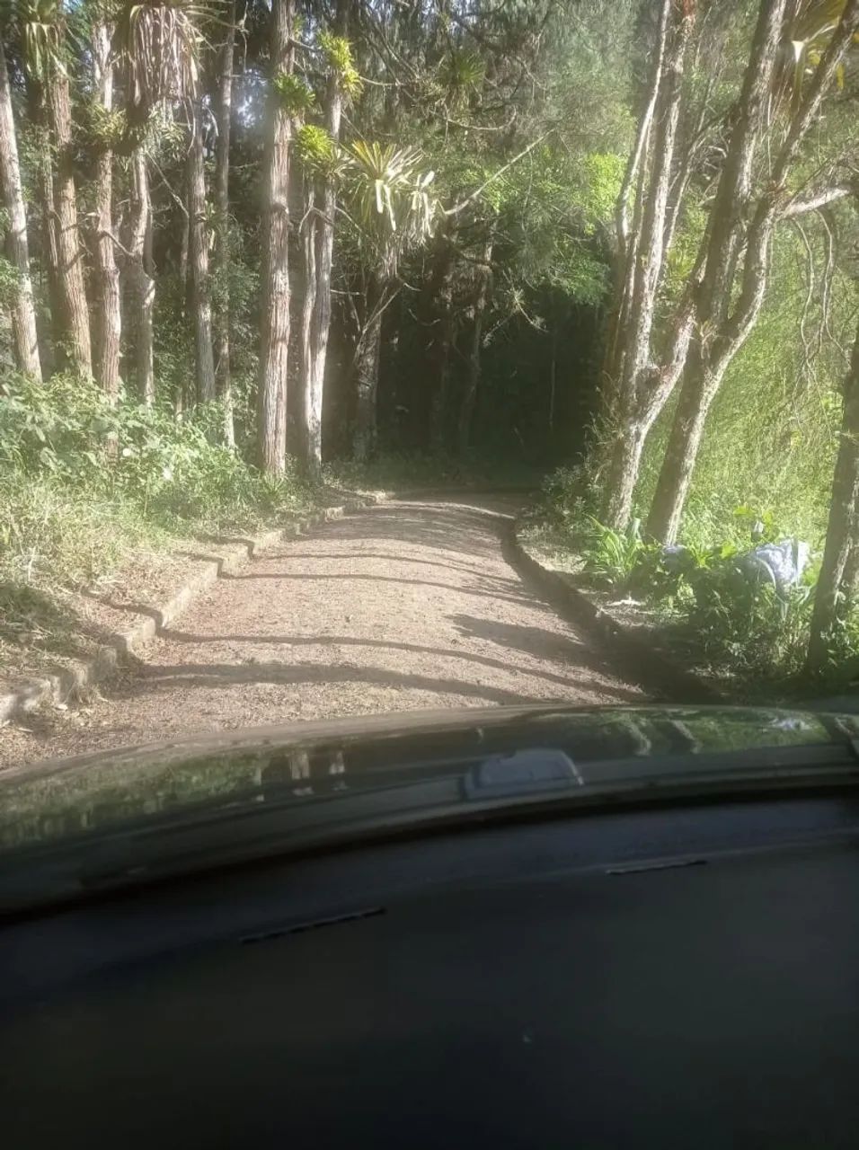 Vendo sitio em Petrópolis  - Foto 4