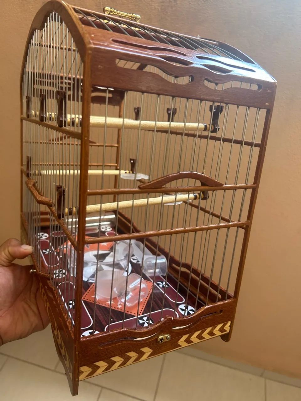 Gaiola baianinha  - Foto 2