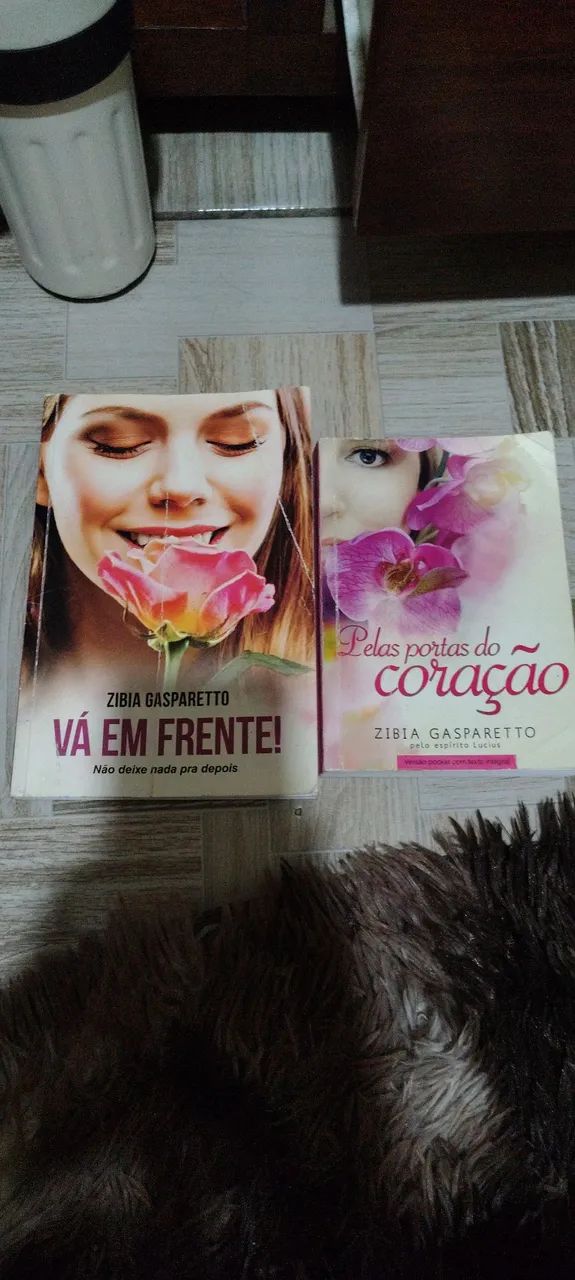 Livros Zíbia Gasparetto 