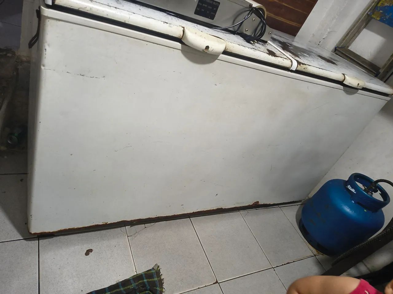 Frizzrer horizontal duas tampas