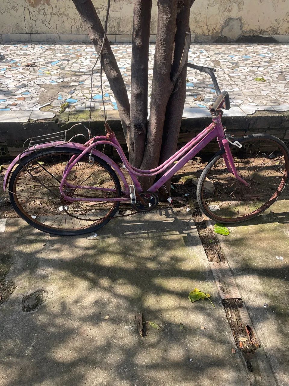 Bicicleta ceci