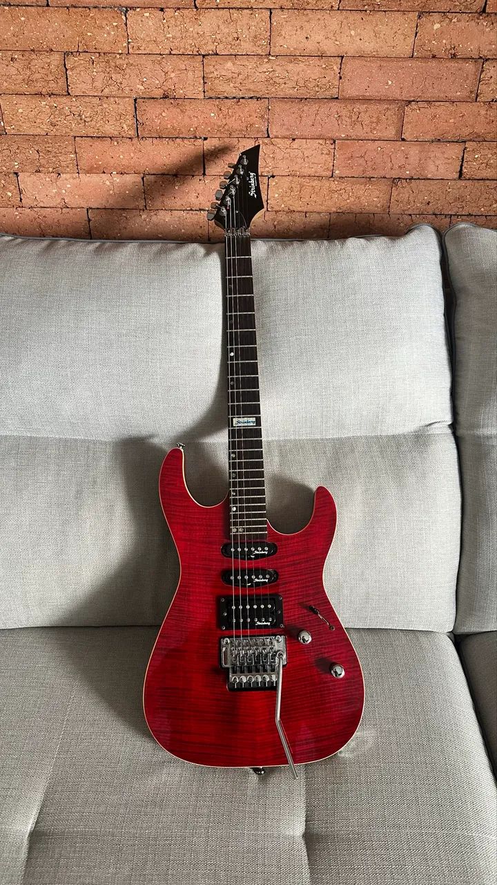 Guitarra Strinberg com Floyd
