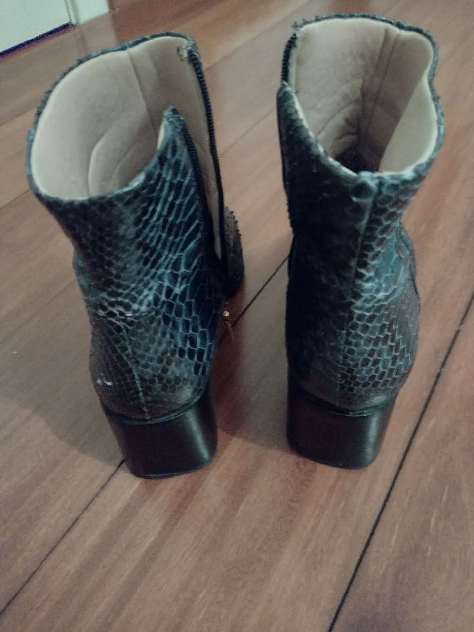 Bota azul em Phyton  - Foto 2