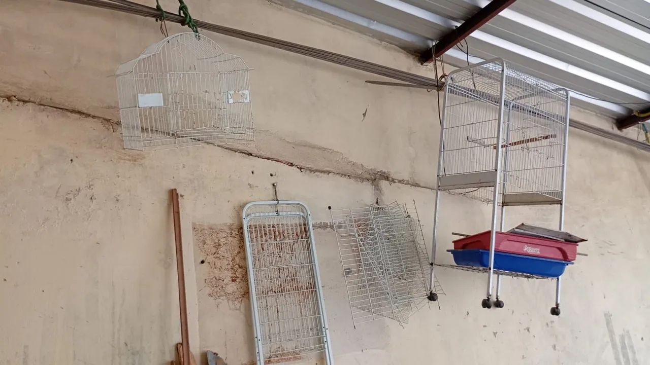 2 gaiola grande de papagaio e 1 pequena 1 das grandes desmontadas valores para levar as 3 - Foto 2