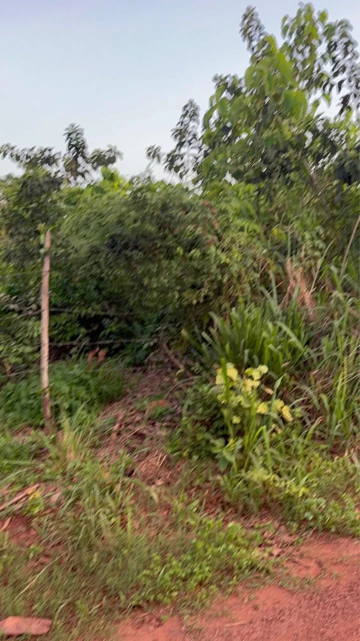 Foto - Teresina - Parque Ideal