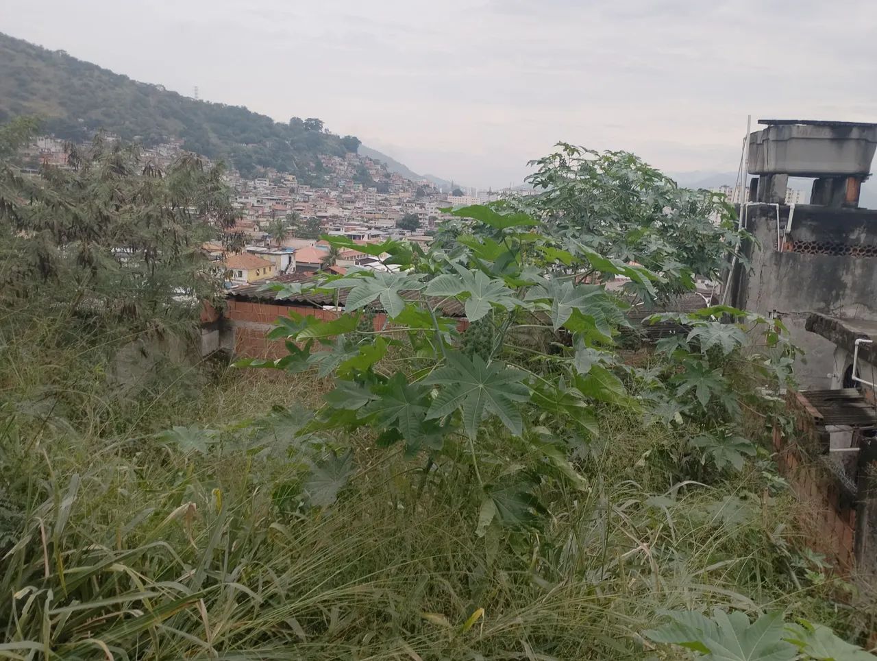 Vendo terreno  - Foto 4