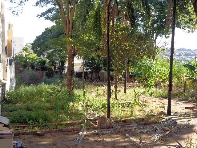 Terreno  Área em Uberlândia - Foto 2