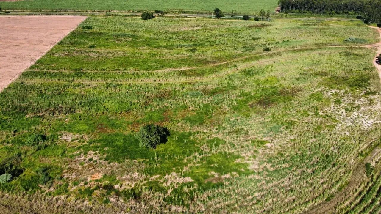 Sitio a venda Santa Maria da Serra SP - Foto 2