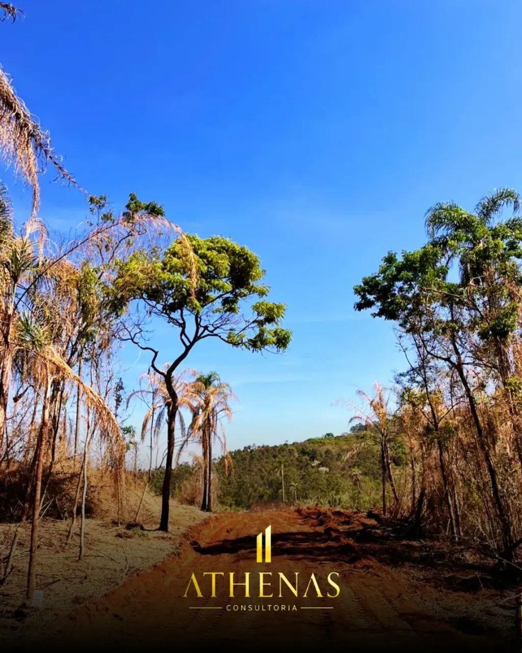 Um terreno que pode mudar seus planos! - Foto 5