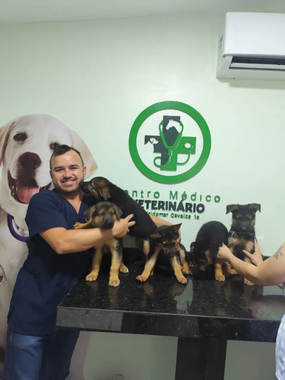 Filhote de cachorro - Foto 4