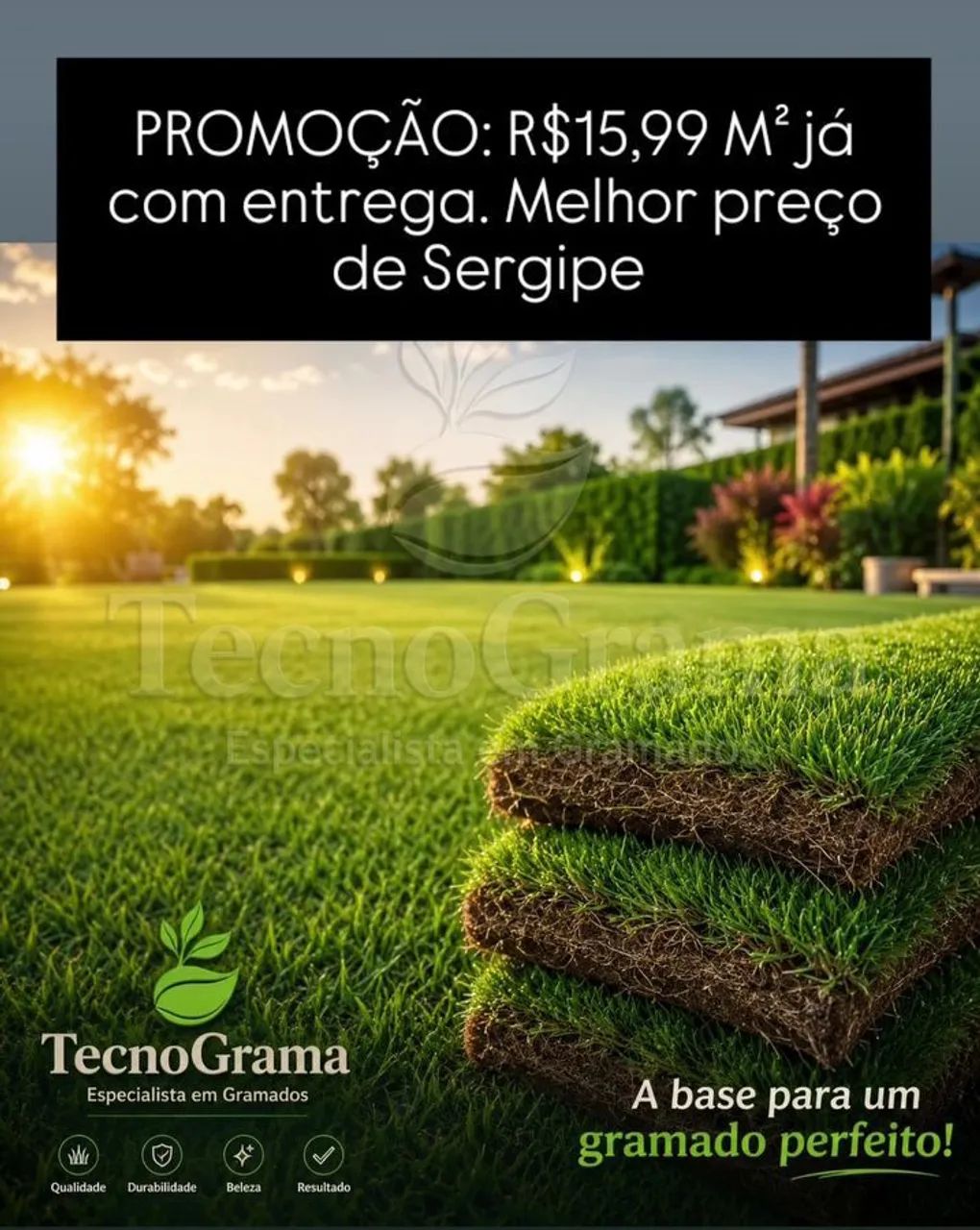 Grama de primeira qualidade. PROMOÇÃO 