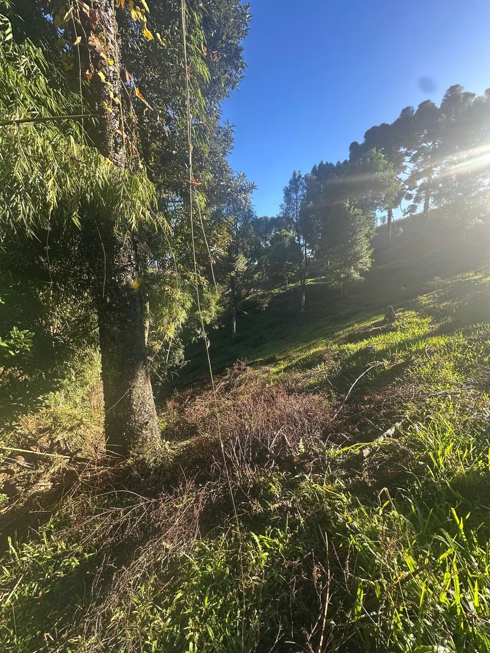 Área Rural para construção de chalé - Foto 2