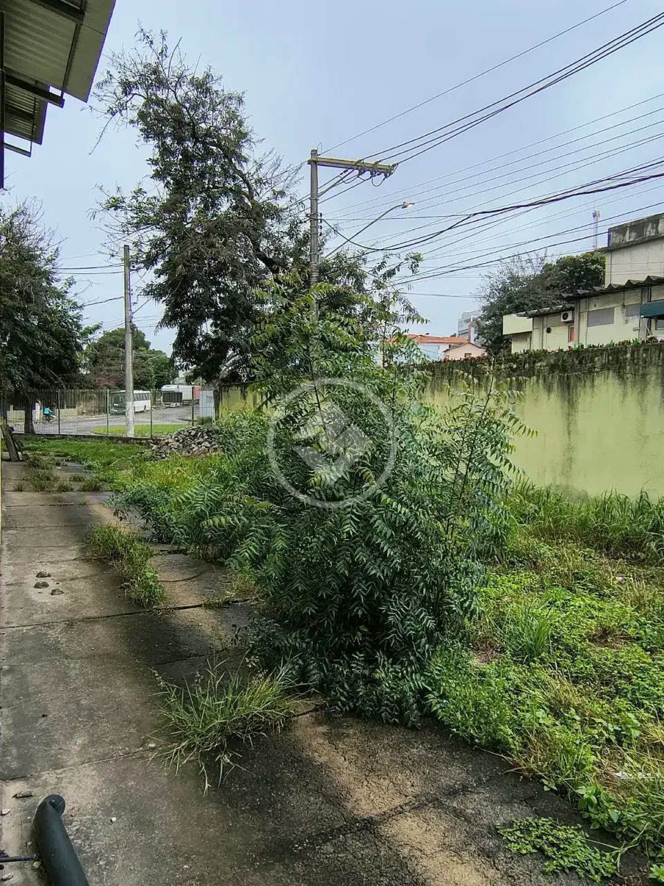 Galpão com duas lages com capacidade de elevação estática para mais 2 andares codigo: 3817 - Foto 2