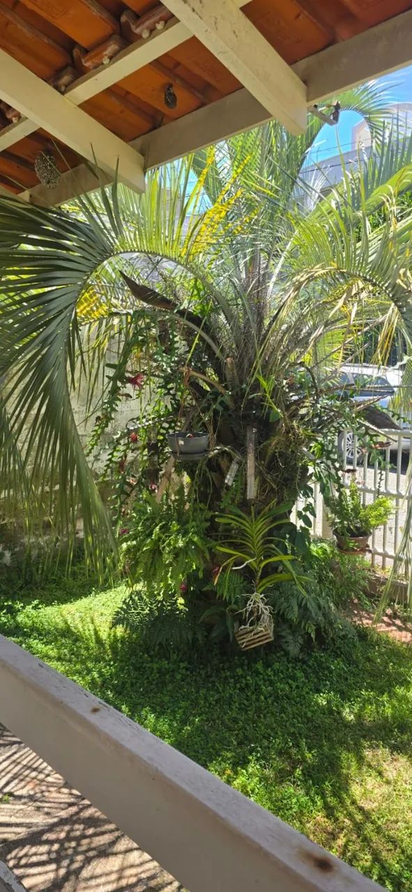 Casa Terrea no Campeche - Foto 3