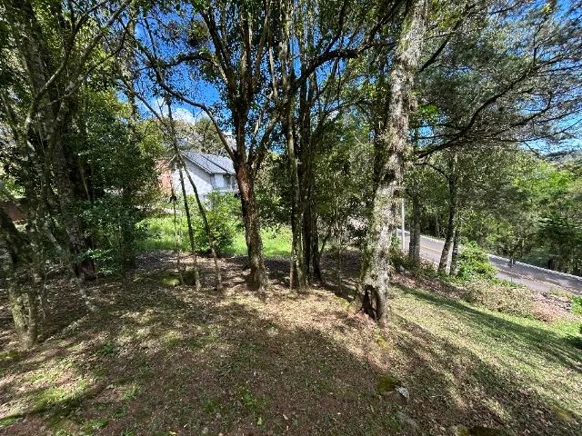 Vende-se terreno com 840,00 m² em Gramado/RS - Loteamento Vale dos Pinheiros - Foto 3
