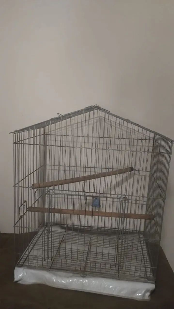Gaiola para calopsitas e agapornis  - Foto 4