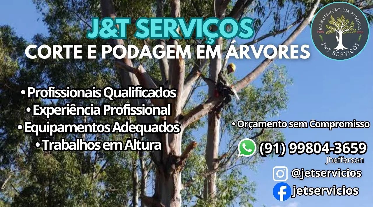 CORTE, PODA, RETIRADA DE ÁRVORES 