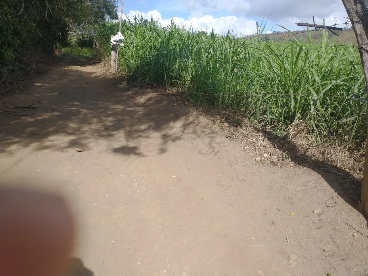 Vende-se Terreno 3.000m2  - Foto 2