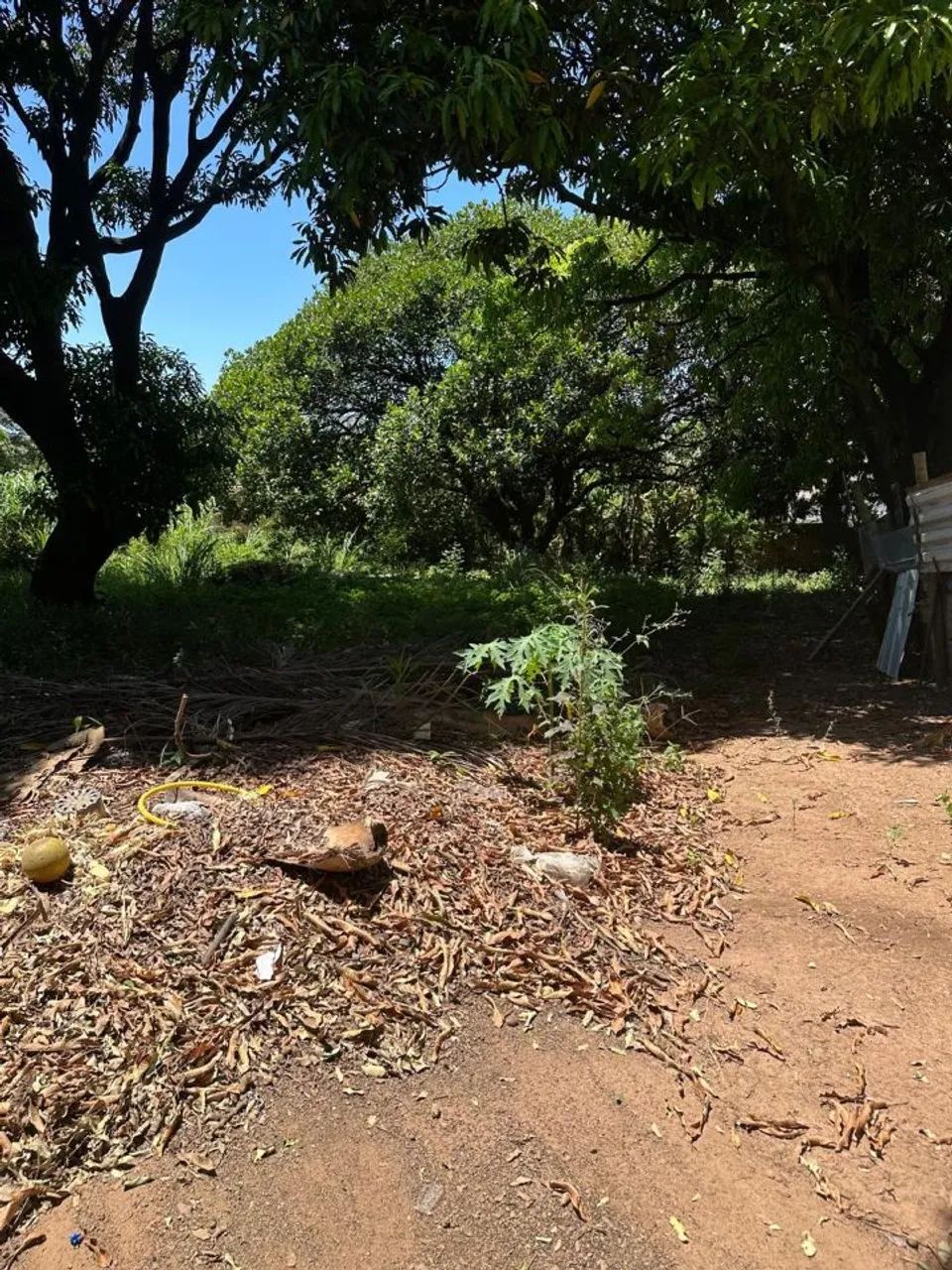 Excelente Lote - Garças - Foto 4