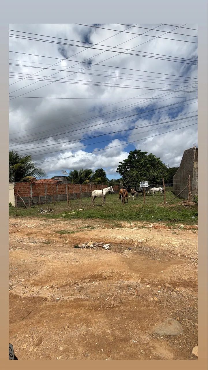 Chão de chácara 15X60 no Pai André  - Foto 3