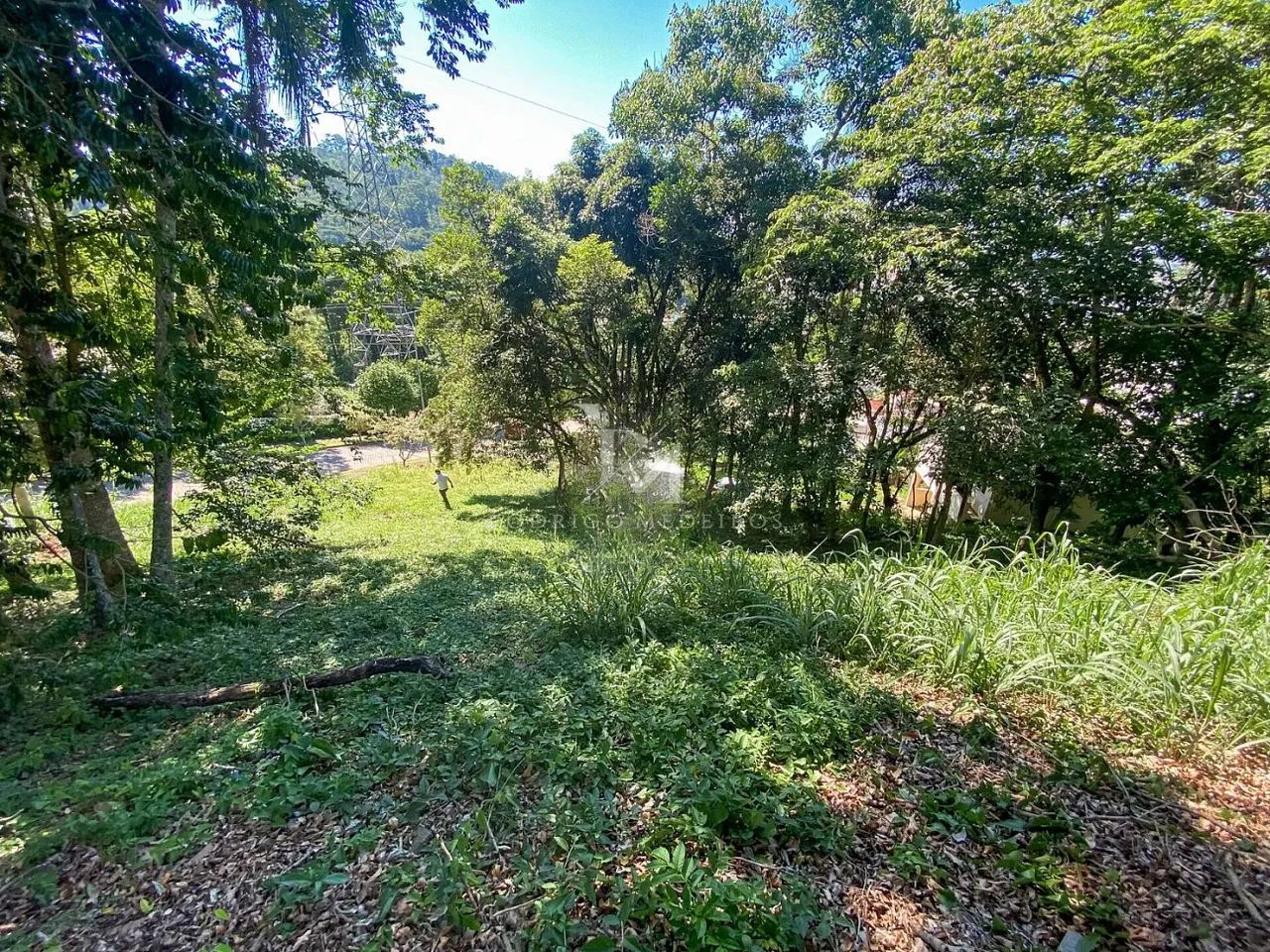 Terreno - Córrego Grande, Florianópolis/SC - Foto 3
