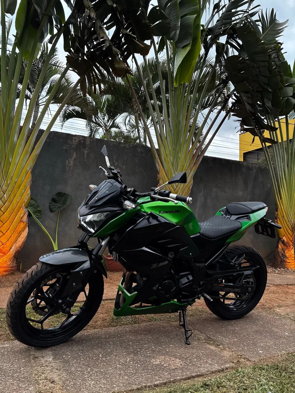 Z300  - Foto 4