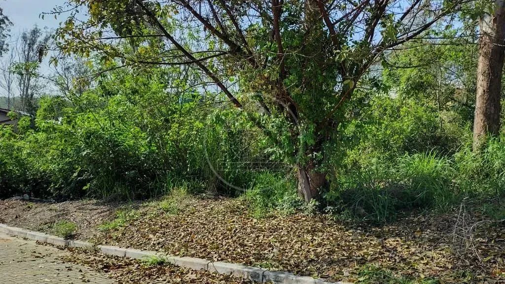 Terreno à venda no Parque do Terceiro Lago - Foto 4