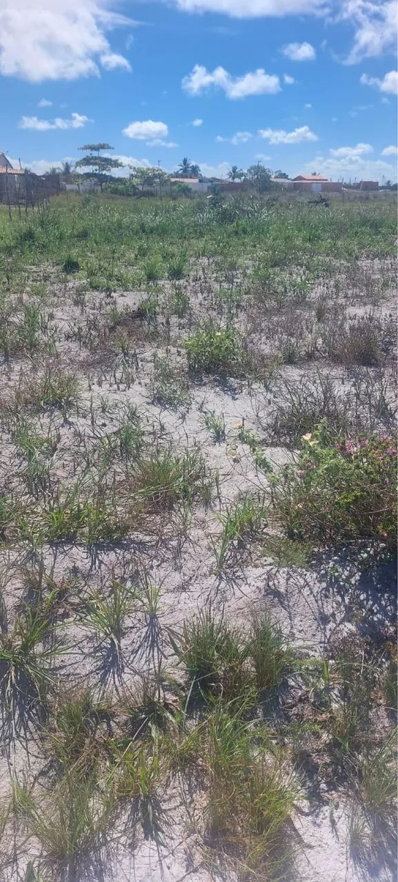  Vende-se lotes de terreno próximo ao trevo de jatobá  - Foto 2