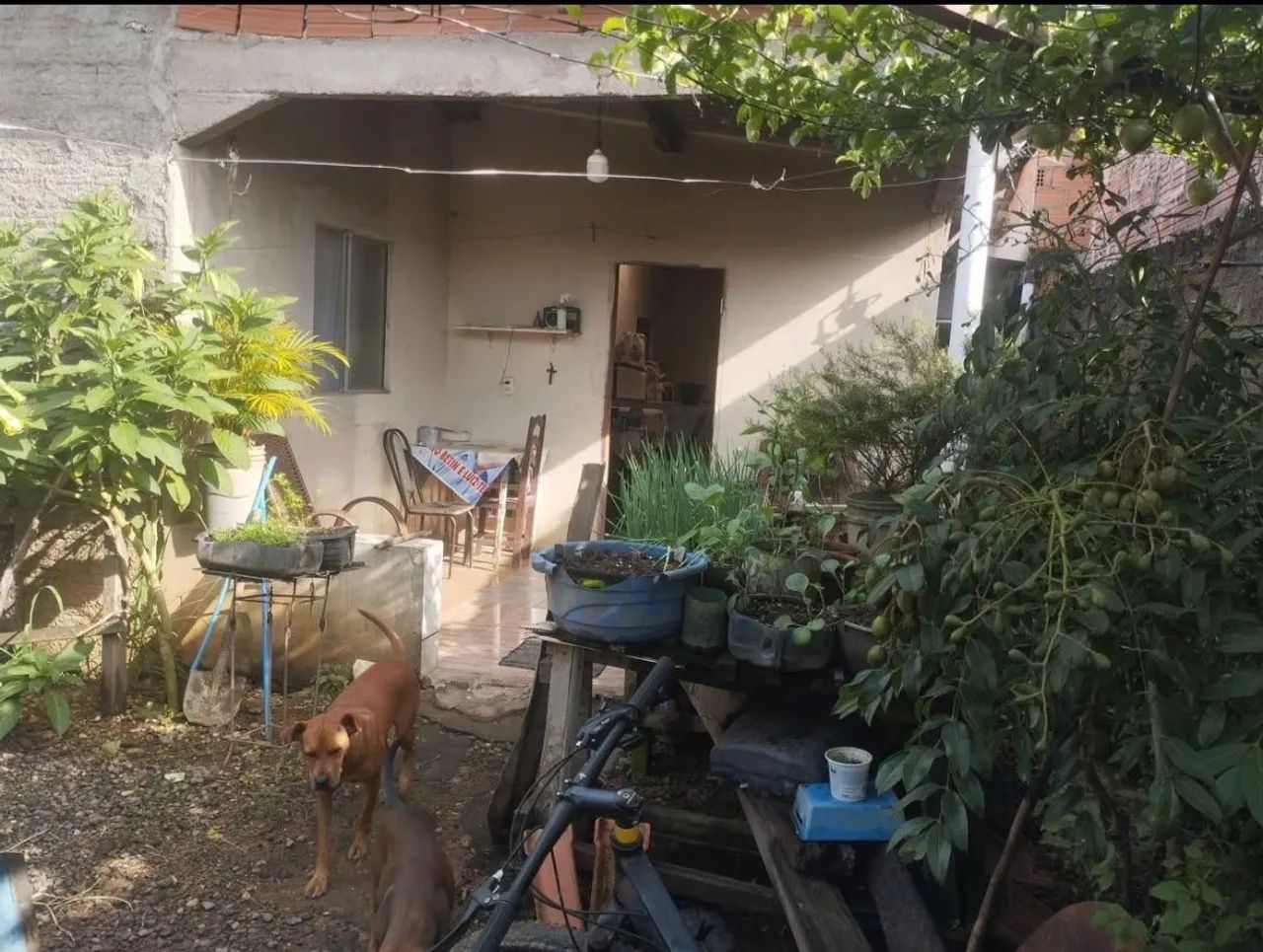 Vende-se no Sol Nascente - Foto 4