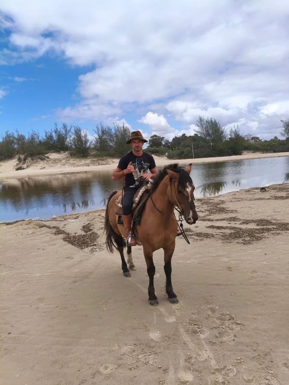 Cavalo - Foto 4