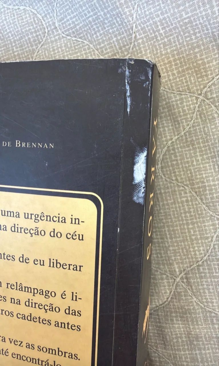 Livro tempestade de ônix - Foto 3